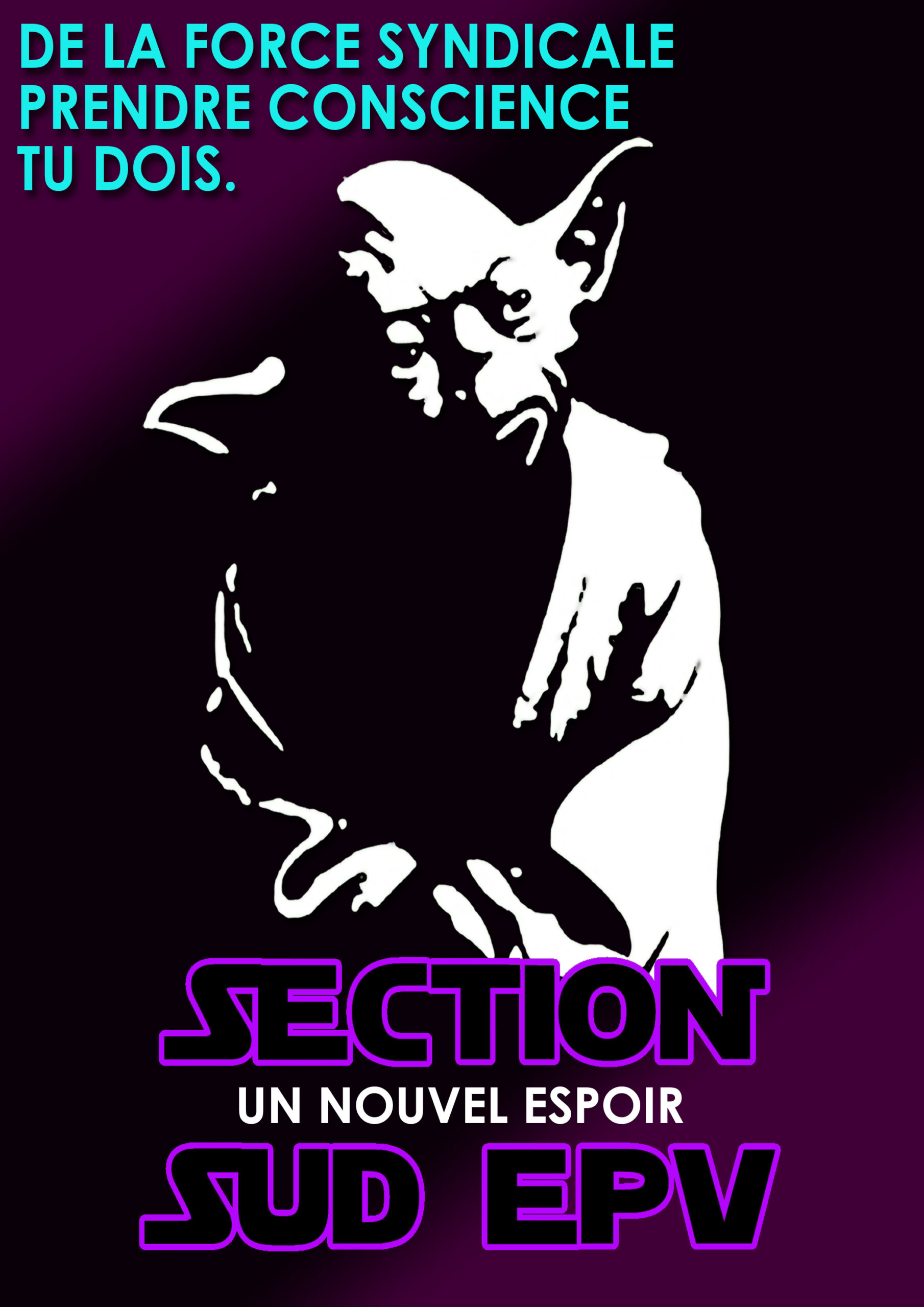 Section WARS